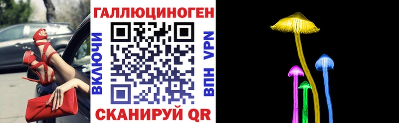 цена   блэк спрут зеркало  Псилоцибиновые грибы Psilocybine cubensis  Менделеевск 